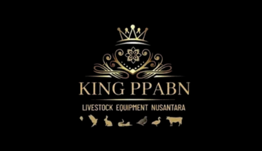 Loker Digital Marketing & Desainer Grafis di King Ppabn